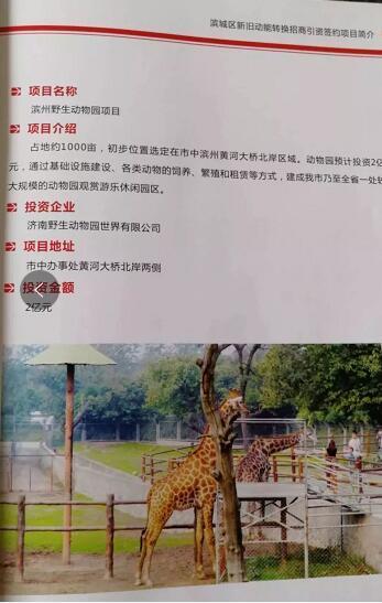 厲害了我的大濱州，15個招商引資項目集中簽約！