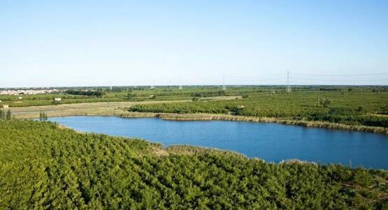 厲害了我的大濱州，15個招商引資項目集中簽約！